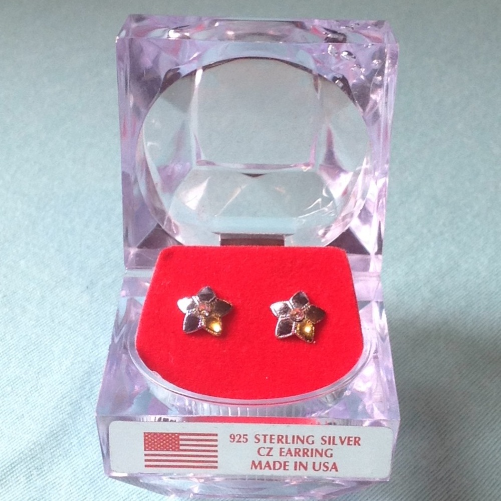 🌸Pretty Flower Earrings🌸 NWOT‼️